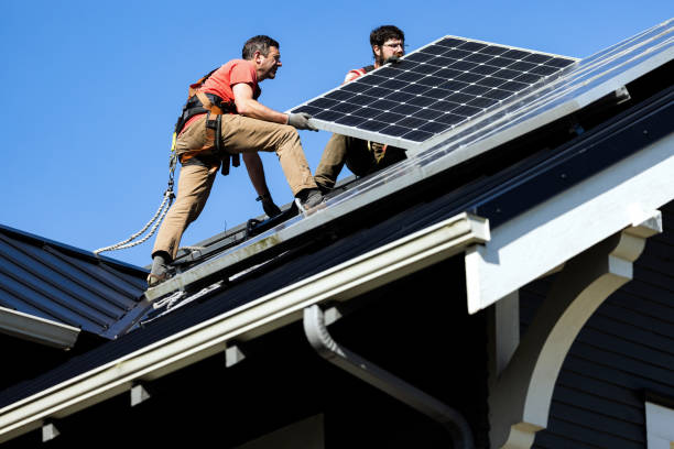 Roof Moss and Algae Removal